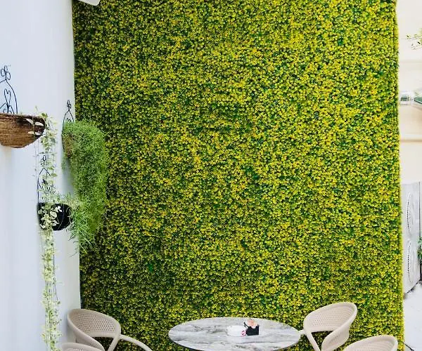 Golden Boutique 3* 地拉那